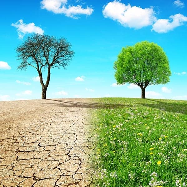 Our-Services-Blueze-Wellness Our-Services-Blueze-Wellness